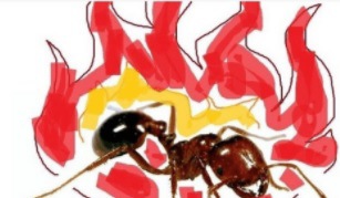 摜