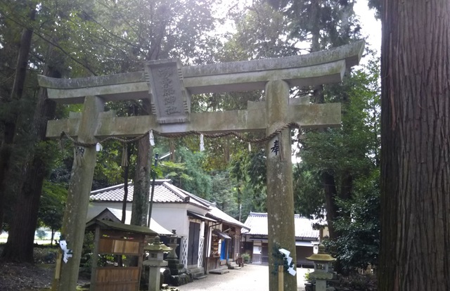 摜