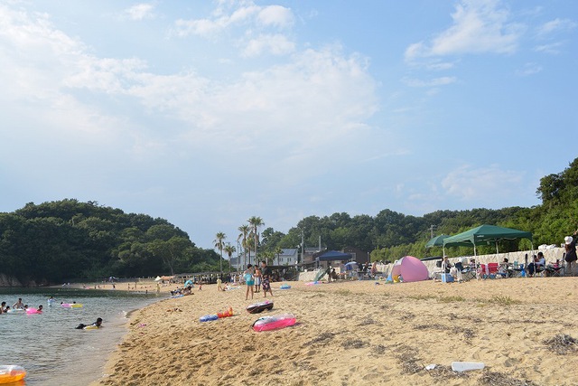 摜