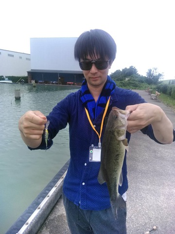 摜