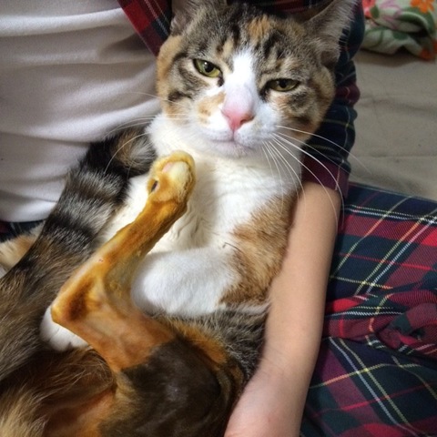 摜
