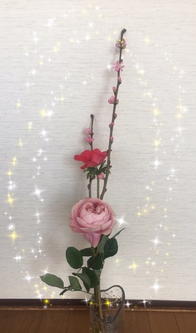 摜