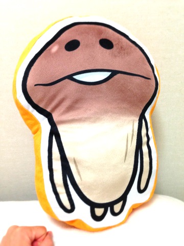 摜