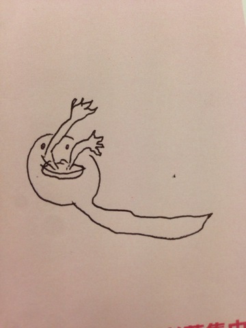 摜