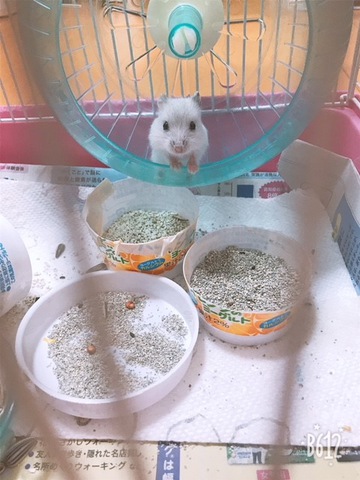 摜