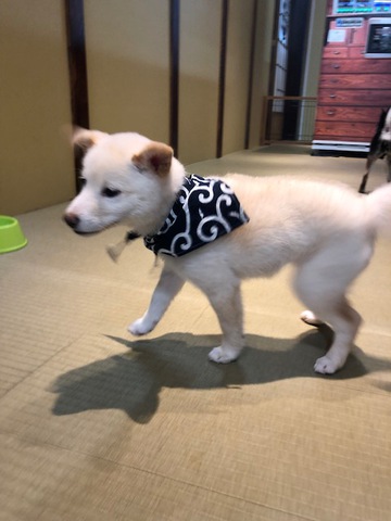 摜