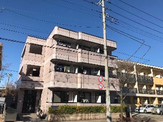 摜