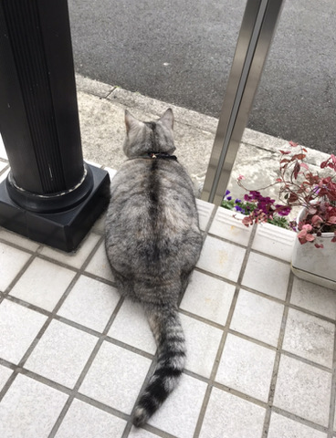 摜