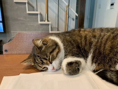 摜