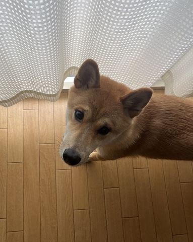 摜