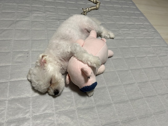 摜