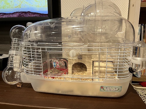 摜