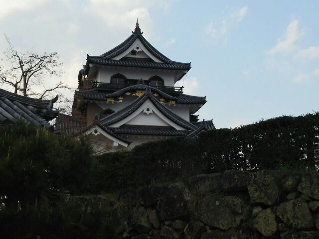 摜