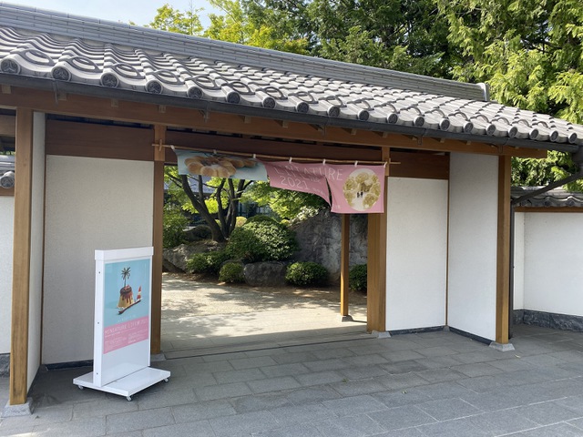 摜
