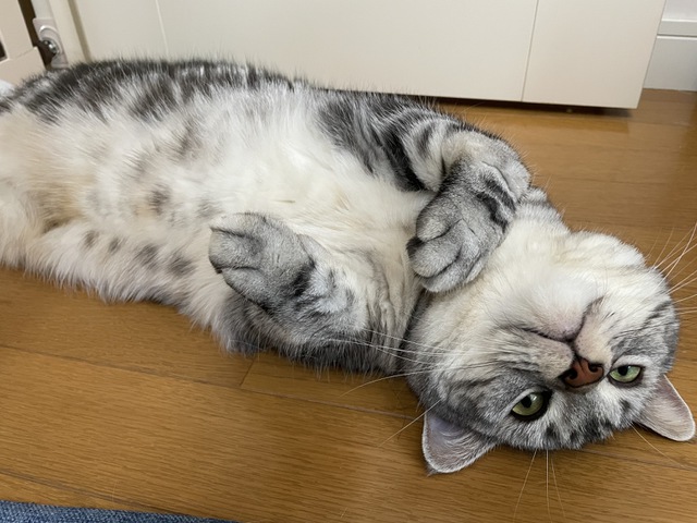 摜