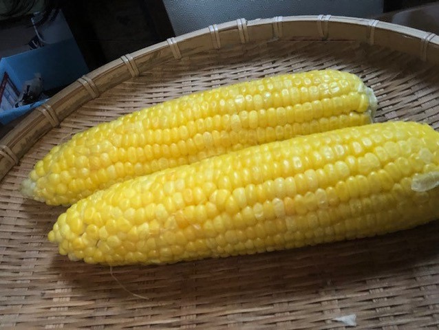 摜
