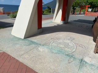 摜