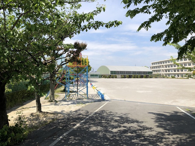 摜