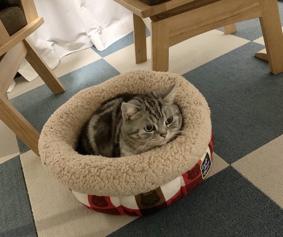 摜