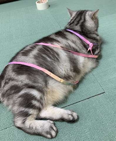 摜