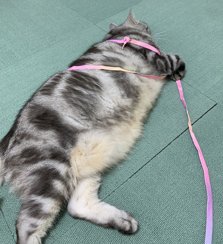 摜