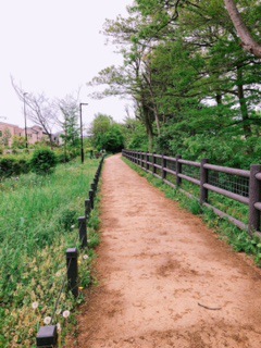 摜