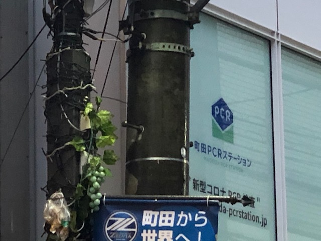 摜
