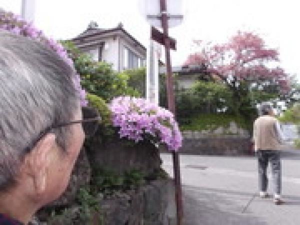 摜