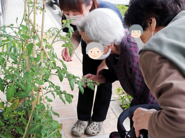 画像